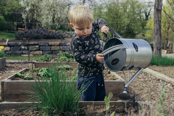 Ein kleines Kind gießt die Pflanzen im Garten mit einer Metallgießkanne, während es neben den Hochbeeten mit frisch gepflanzten Pflanzen steht.